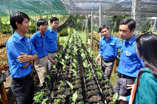 Đại biểu tham quan mô hình trồng hoa tại làng hoa kiểng Tân Qui Đông